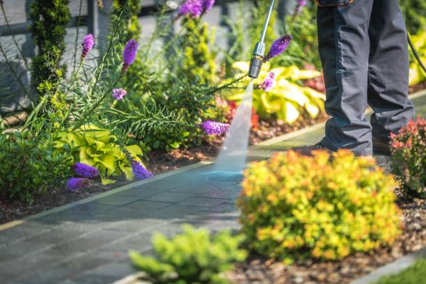 Best Fence Cleaning  in Auburn, IL