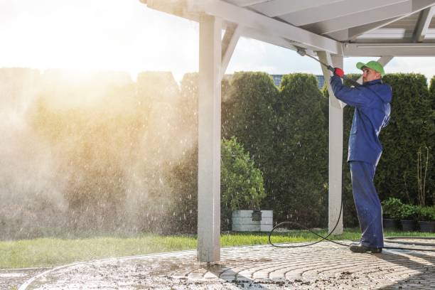 Solar Panel Cleaning in Auburn, IL
