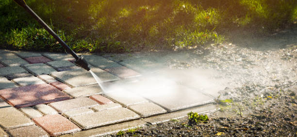 Best Spring Cleaning  in Auburn, IL
